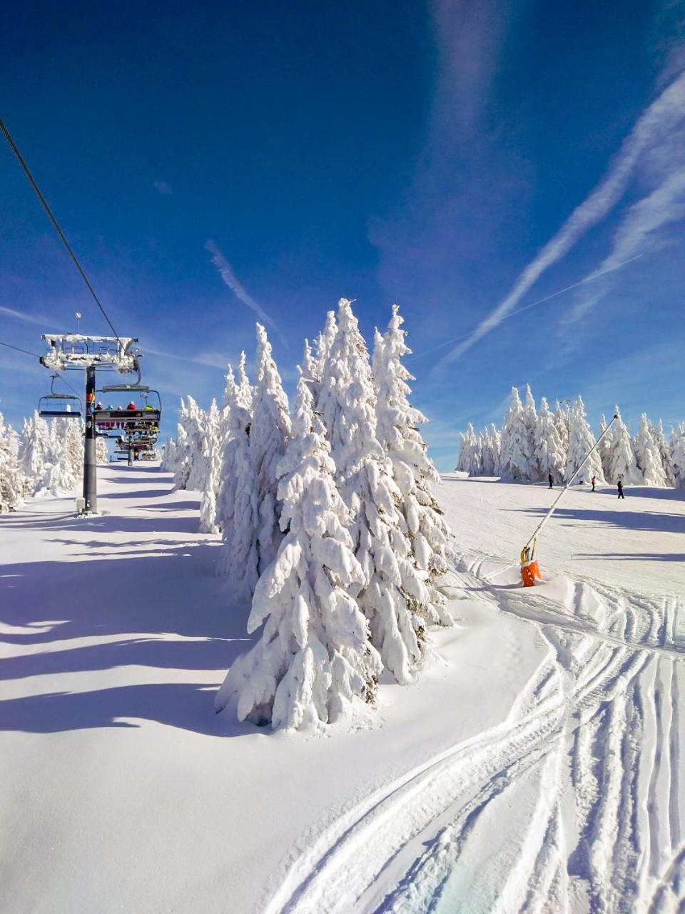 Ski&Spa Milmari L17 科帕奥尼克 外观 照片